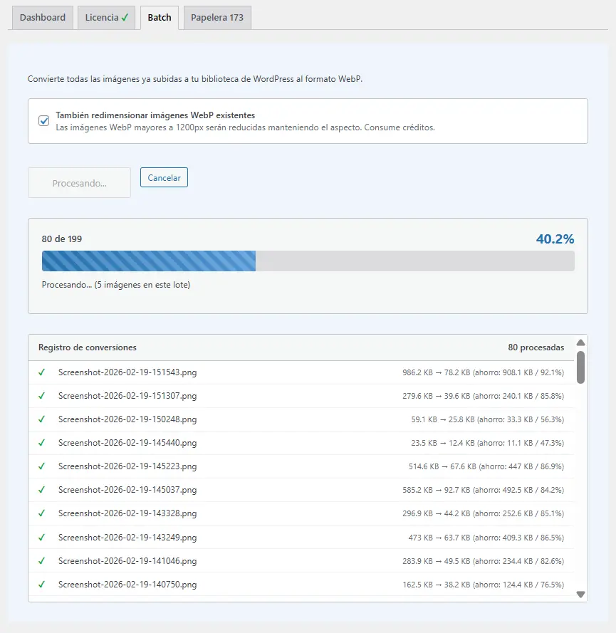 Batch Conversion in Progress
